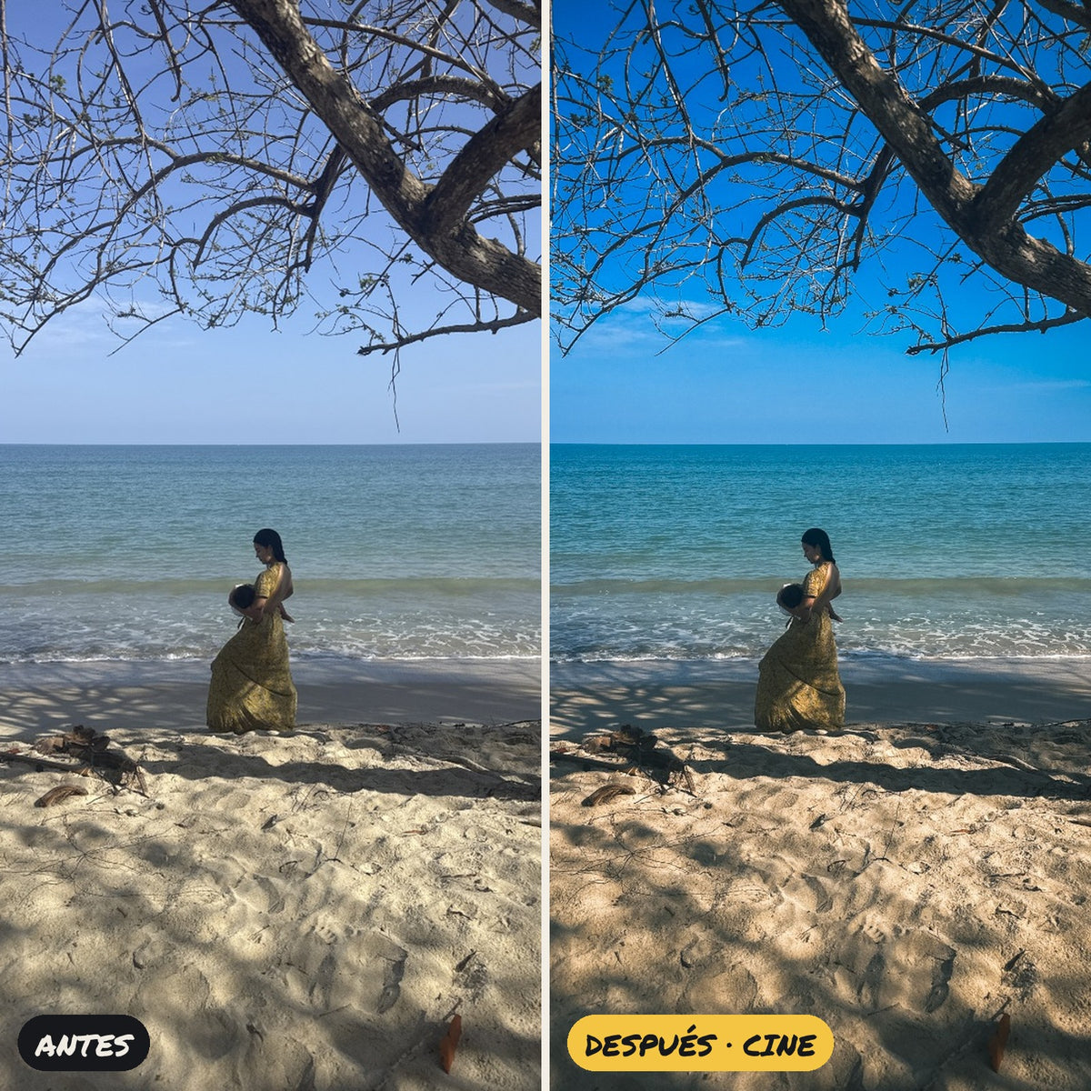 Esenciales · Pack de 10 presets